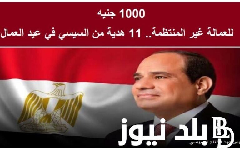 "اصطاد وهتنفق" خبر مهم للغاية بخصوص منحة العمالة غير المنتظمة 1000 جنيه "الجميع يستعد"

