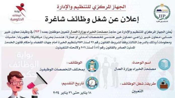  هؤلاء الأشخاص غير مؤهلين للتقدم لمسابقات الوظائف الحكومية.  تأكد من صلاحية بطاقتك – أخبار مصر

