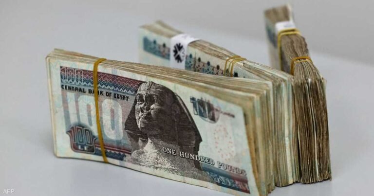 حصيلة “ضخمة” لامتيازات العملة الأجنبية في مصر

