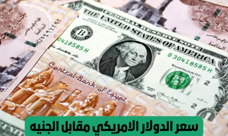 سعر الدولار في السوق السوداء اليوم
