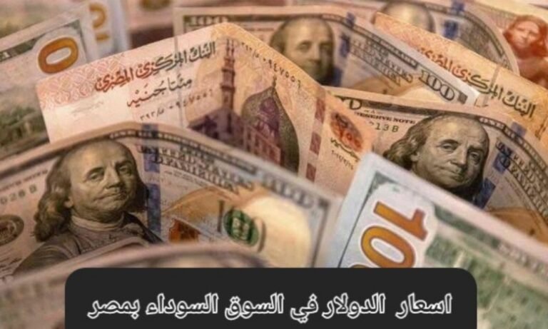 ارتفاع كبير اليوم.. سعر الدولار مقابل الجنيه المصري في السوق السوداء يصل إلى أرقام جديدة وخيالية ارتفاع كبير اليوم.. سعر الدولار مقابل الجنيه المصري في السوق السوداء يصل إلى أرقام جديدة وخيالية