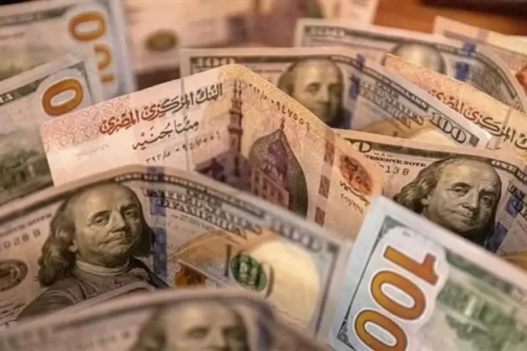 اجتماع البنك المركزي اليوم.. سعر الدولار مقابل الجنيه في السوق السوداء والبنوك الخميس 23 مايو 2024

