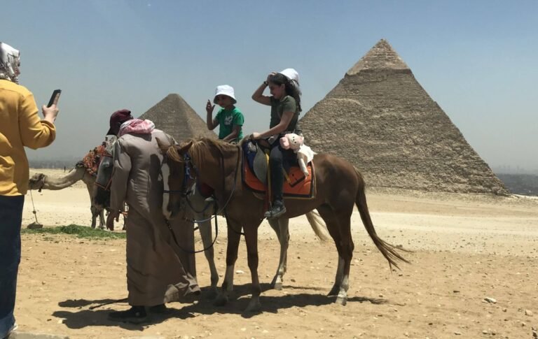 مصير فرسان الأهرامات يثير الجدل قبل افتتاح منطقة التطوير

