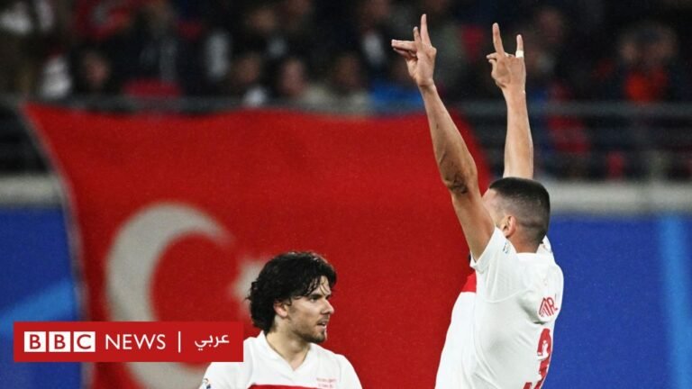 الذئاب الرمادية: أصل التحية التي تسببت في أزمة بين تركيا وألمانيا

