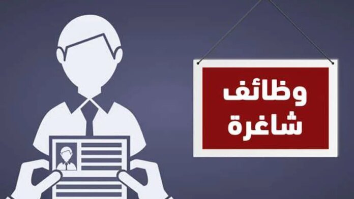 الوظائف الحكومية متاحة في أكثر من جهة.. وإليكم شروط وطريقة التقديم - أي خدمة

