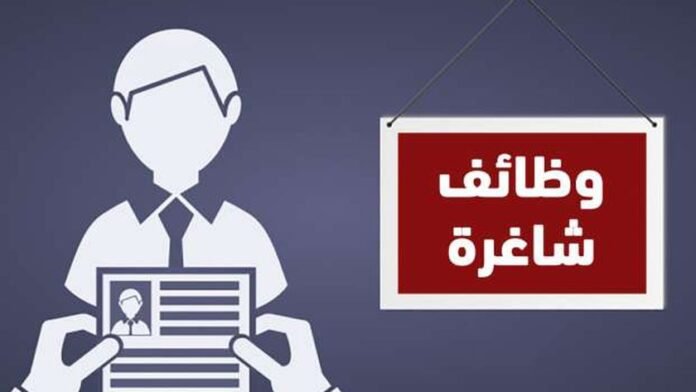 وظائف حكومية في الجامعات.. تعرف على الشروط وكيفية التقديم - أي خدمة

