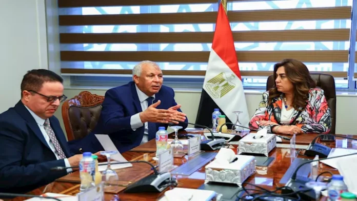 يواصل وزير التنمية المحلية إنشاء مركز إنتاج الحرير في الوادي الجديد

