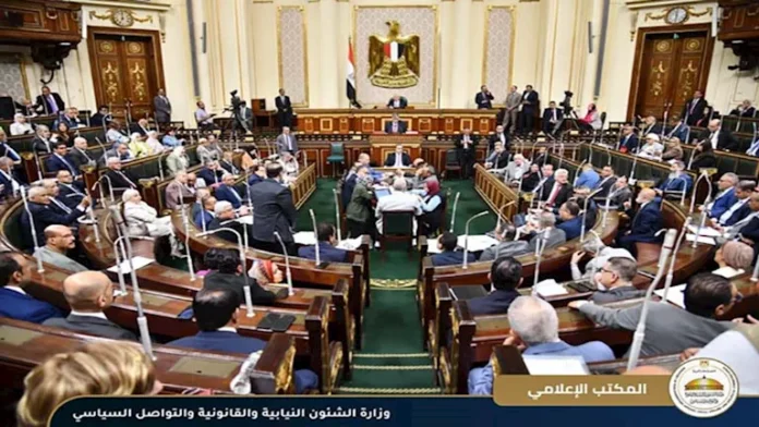 صمام الأمن العربي ... مدح برلماني لعلاقات القاهرة ورياده إستير

