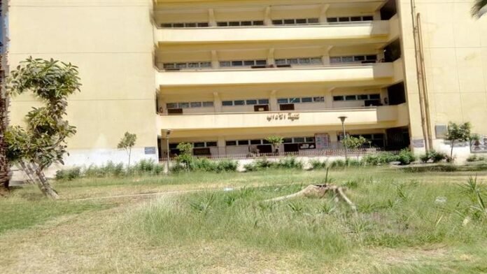 تنسيق أقسام كلية الآداب ، جامعة هيلوان 2025 والأوراق المطلوبة

