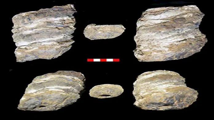 اكتشاف ابن نحاسي -في الحفل ، المباني الإدارية ونقاط المراقبة في جنوب سيناء

