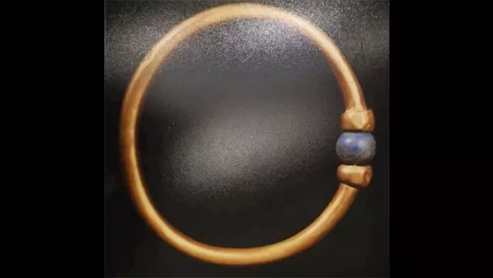 بعد الابن -في متحف المصري ، خبير: لقد حققوا العدالة لعلماء الآثار ووافقوا على القائمة

