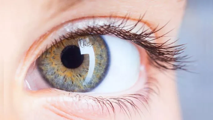 تحدد الصحة ضوابط جديدة لاستيراد قرنية العين من الخارج

