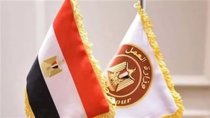 «العمالة»: تحرير بلاغات لـ 326 منشأة لعدم التزامها باشتراطات السلامة «العمالة»: تحرير بلاغات لـ 326 منشأة لعدم التزامها باشتراطات السلامة والاشتراطات التنظيمية