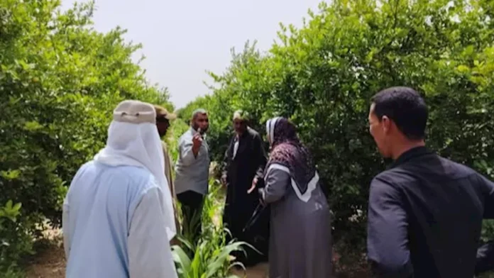 "الزراعة" تستعرض جهود "استصلاح الأراضي" في النصف الأول من مايو المقبل

