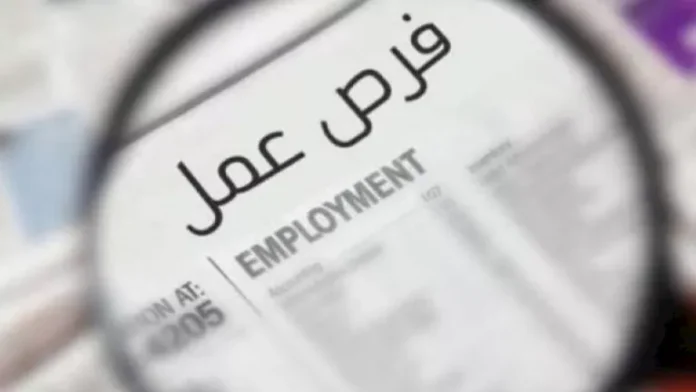 وظائف جديدة بوزارة التنمية المحلية والبيئة... التقديم 15 يوليو

